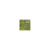 Zhao Xiaojie malt Monet – Frau mit Sonnenschirm